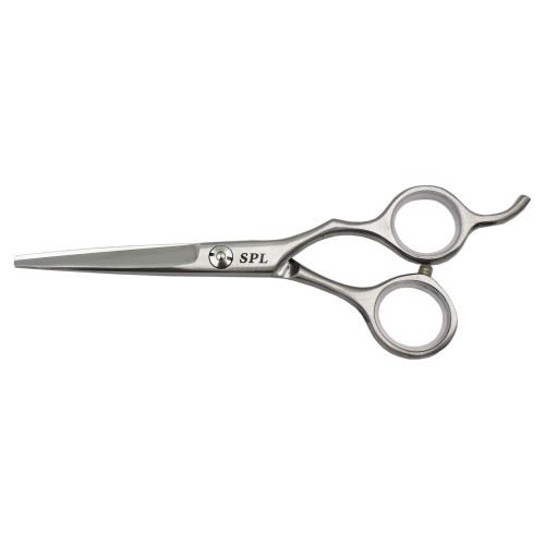 Professional hairdressing scissors