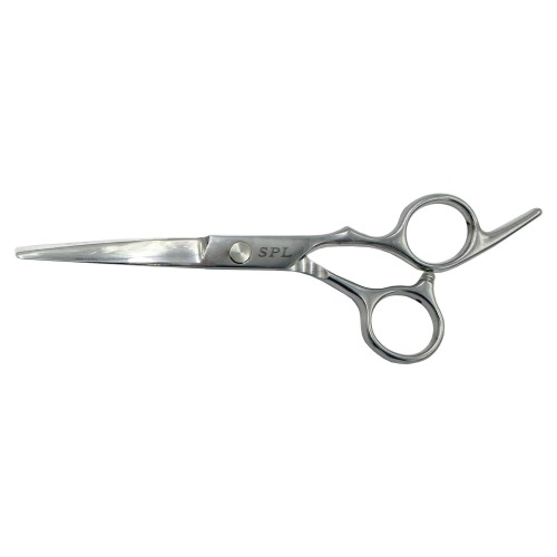 Hairdressing scissors 6.0 straight professional